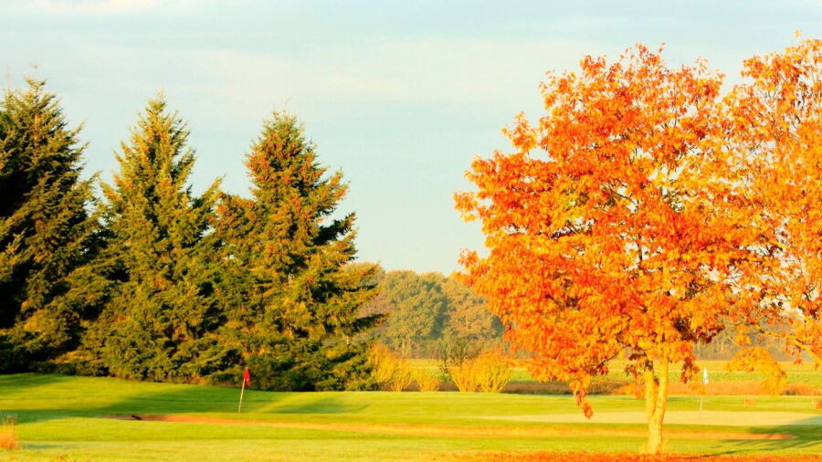 Bosse GC