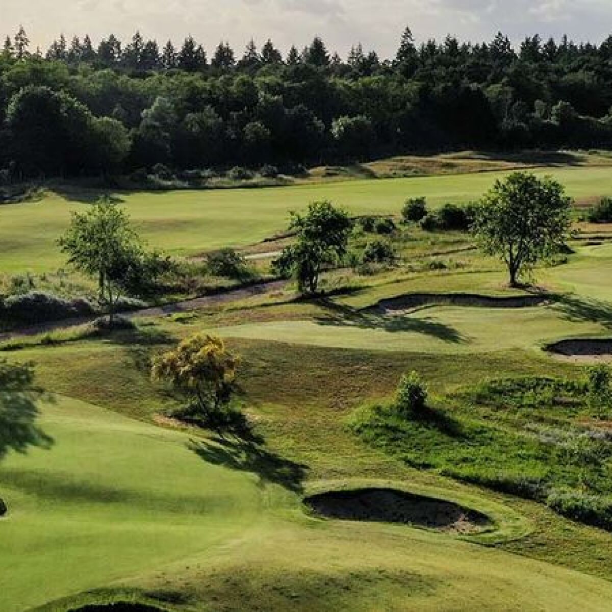 Les Bordes Golf Club Wild Piglet Course in SaintLaurentNouan, Loir