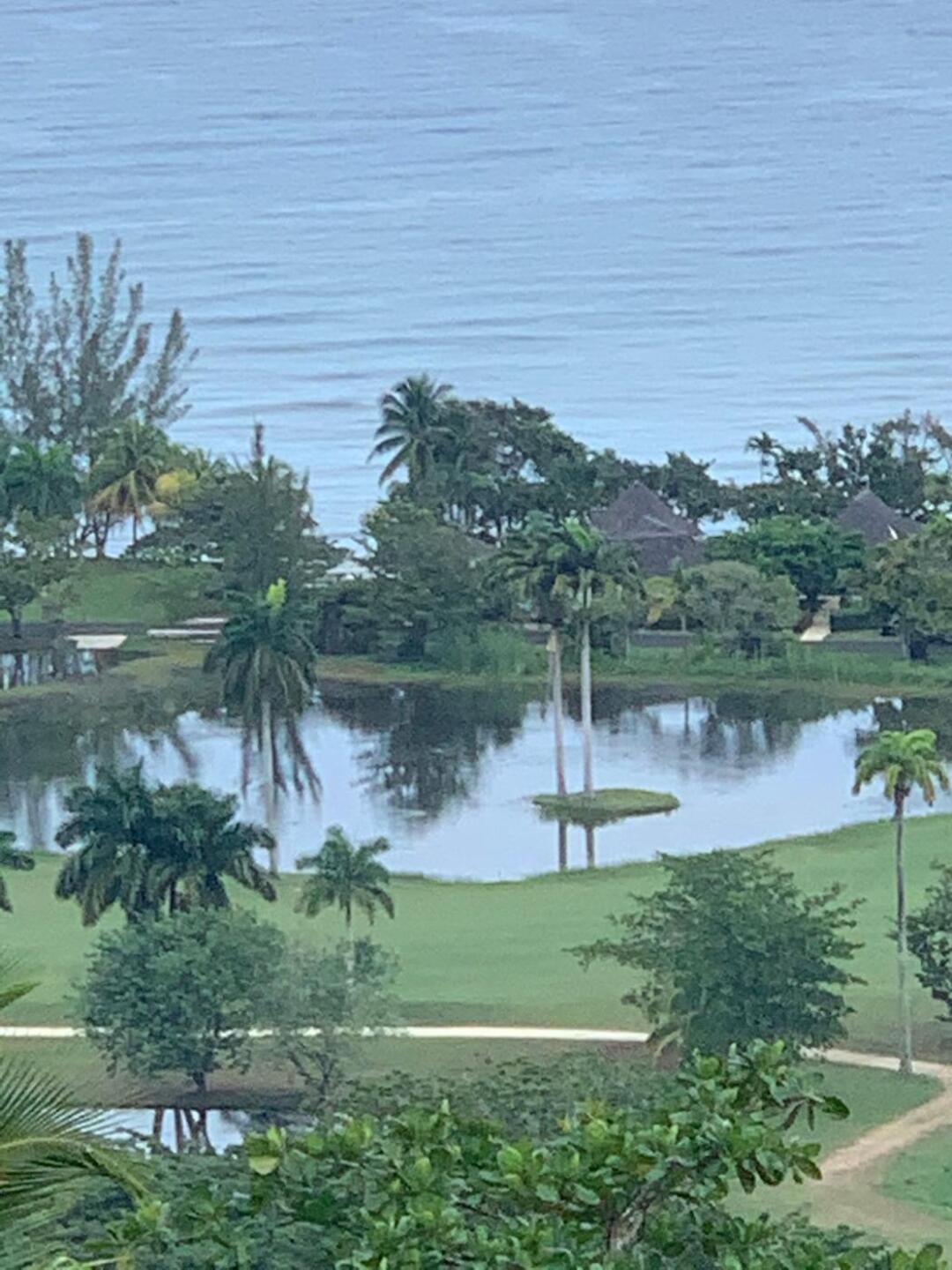 Water hole (Photo submitted by DjwZt4aA1SqNE62tfFMy on 12/07/2019)