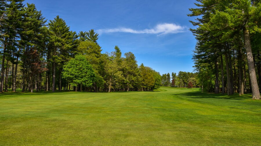 Bullseye GC: #11