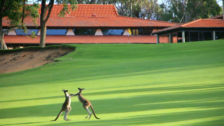 Lake Karrinyup CC