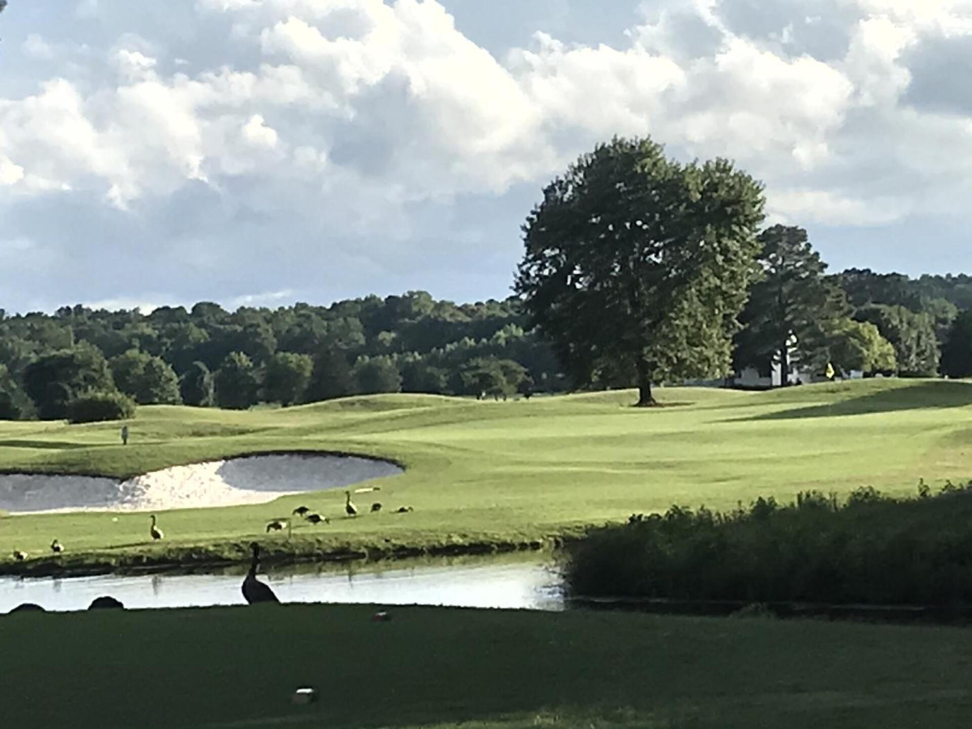 This is a par three overlooking the water! (Photo submitted by Martha6288409 on 06/30/2021)
