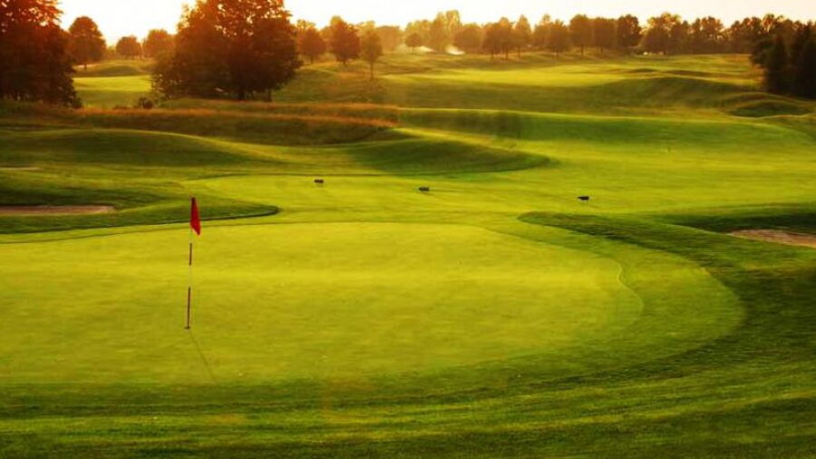 Calerin GC