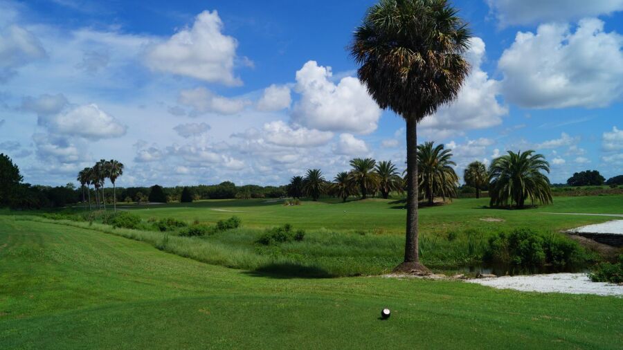 Ridgewood Lakes GC: #8