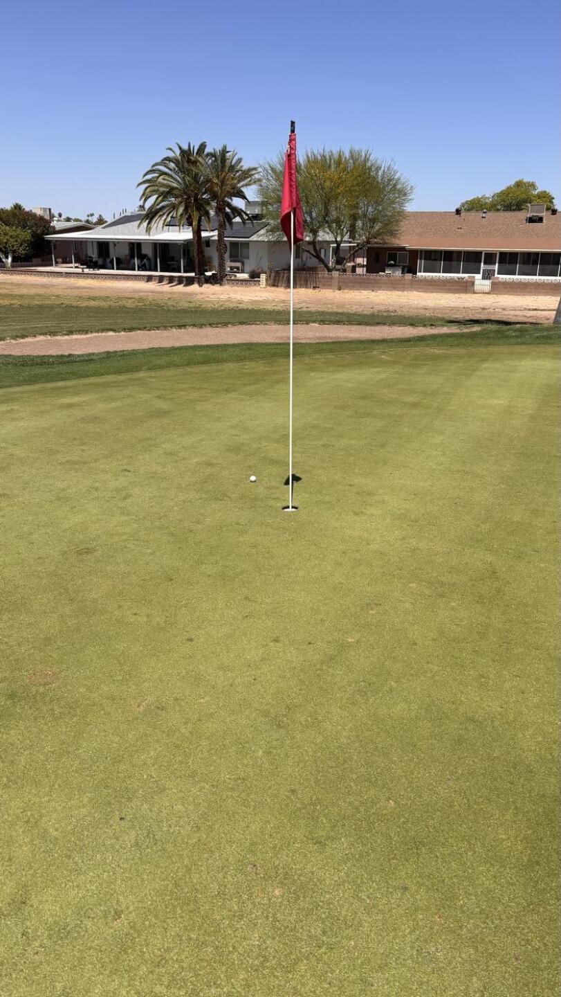 Birdie ! (Photo submitted by masonfreeman00 on 04/30/2026)