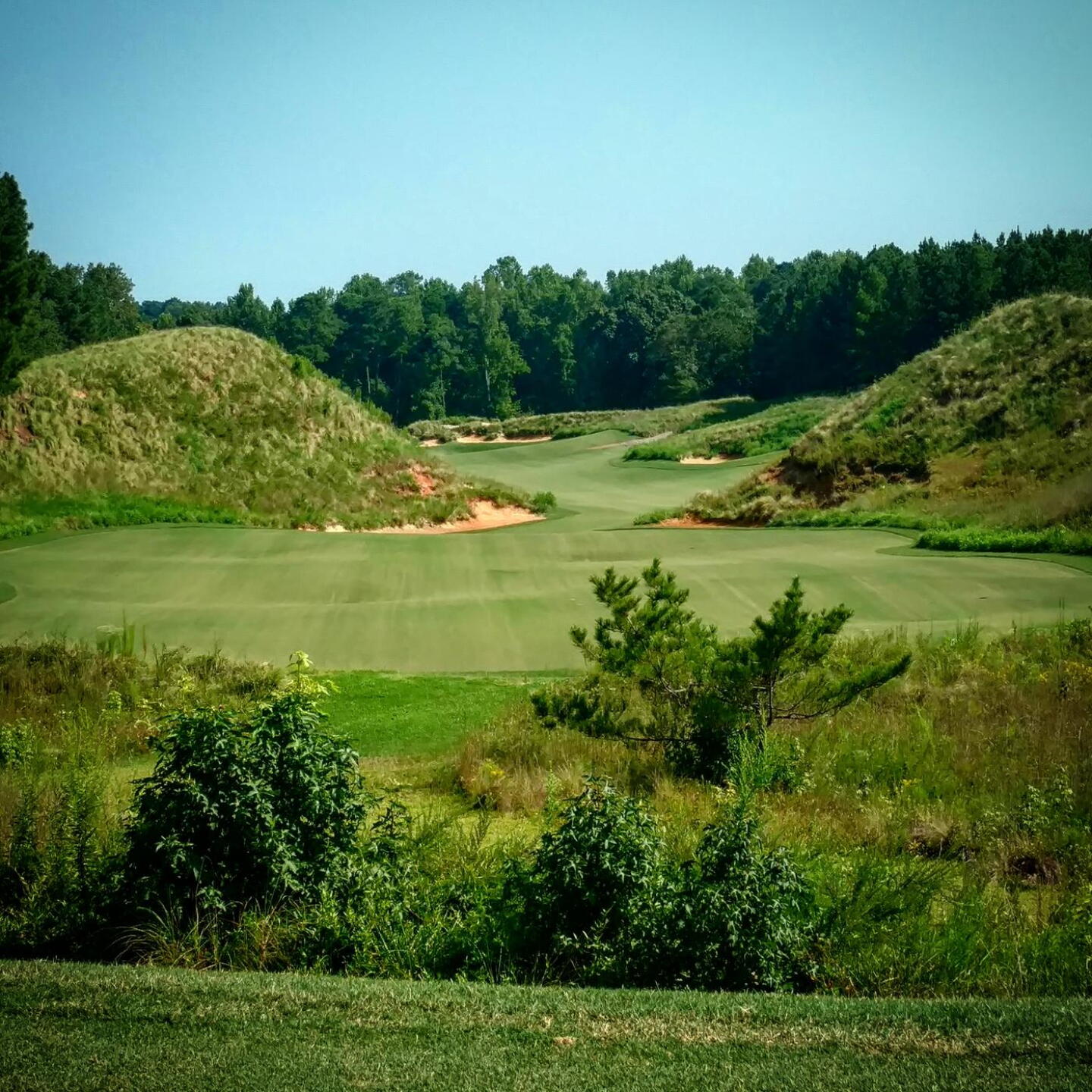 The first tee is a daunting shot but will prepare you well for what's to come. (Photo submitted by Back9Ben on 09/02/2018)
