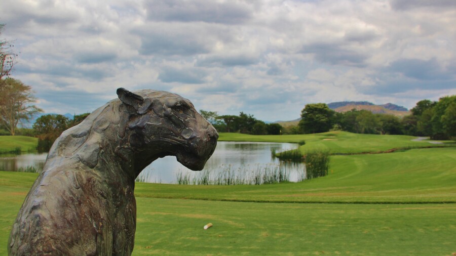 Leopard Creek C.C. golf course - no. 5