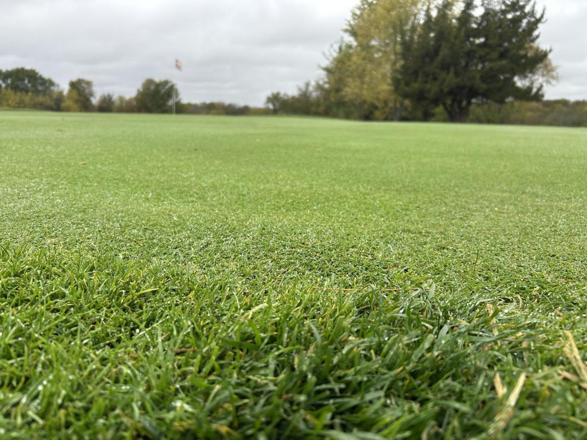 (Photo submitted by moneymakers501 on 10/26/2025)