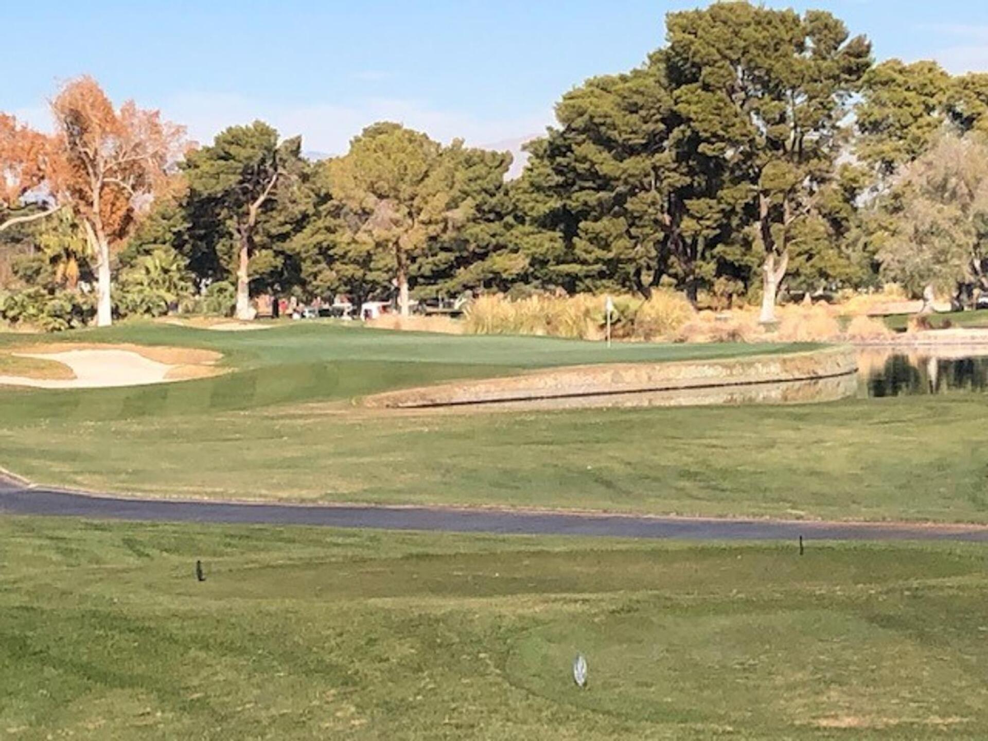 7 green (Photo submitted by GRaleigh on 12/28/2022)