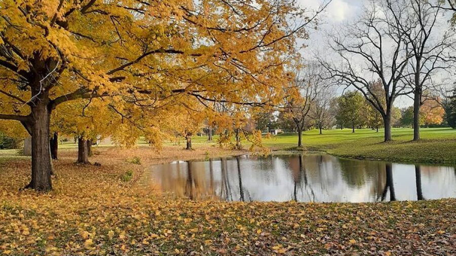 Piqua CC