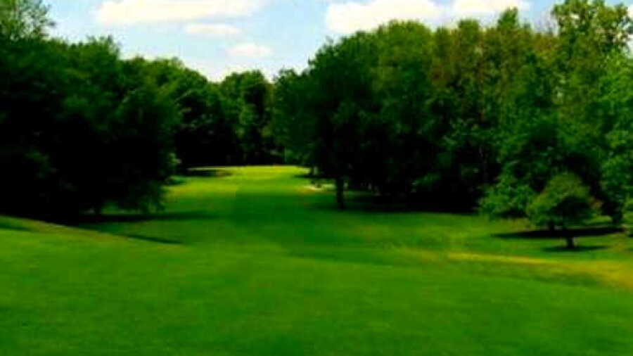 Davison CC