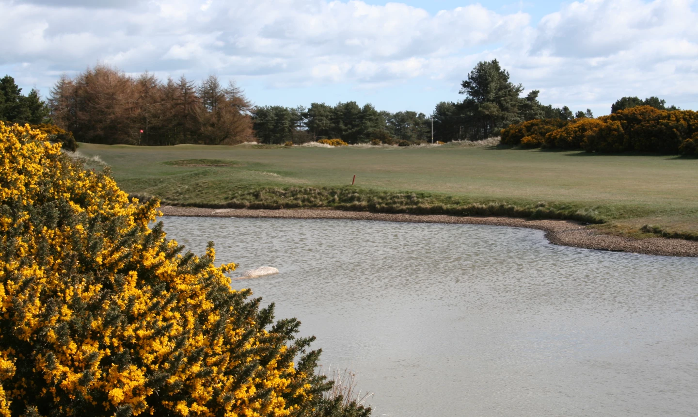 Medal Course at Monifieth Golf Links - hole 10