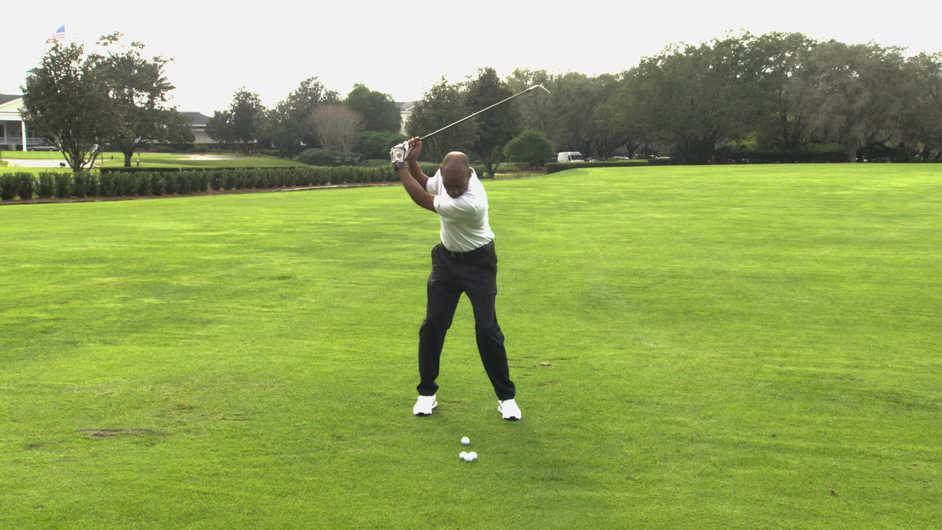 Perfect Swing Posture