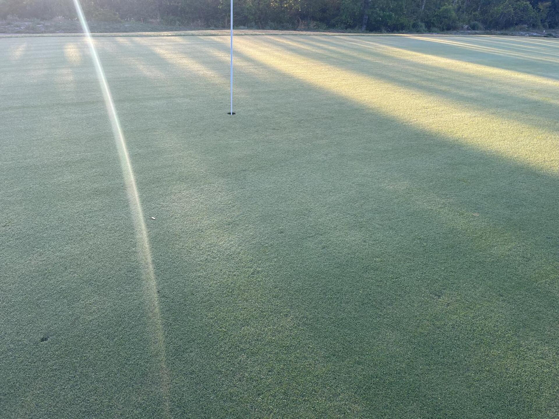 (Photo submitted by u314163524317 on 03/22/2023)