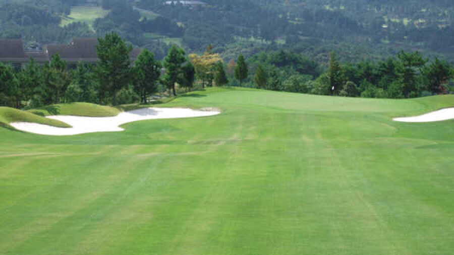 Maple Hills GC: #14