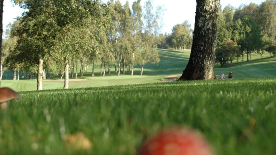 Svendborg GC