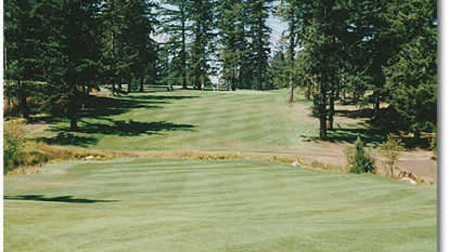 Stone Creek #13