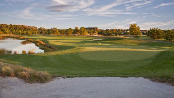 Grizzly at Bear Trap Dunes: #3