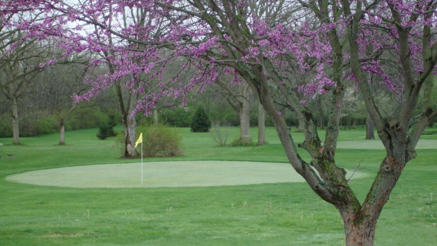 Logan's Run Family Golf Center