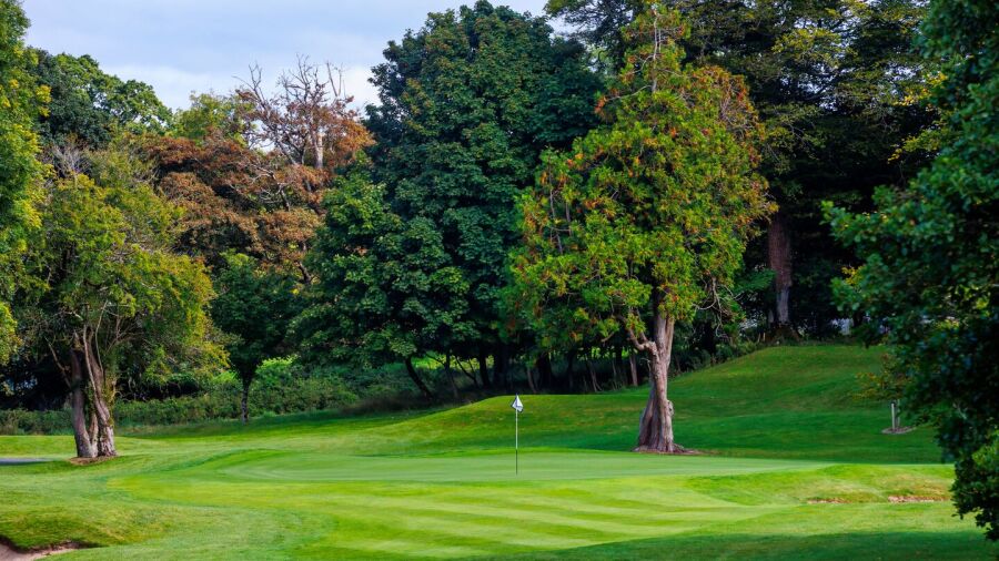 Killarney Golf and Fishing Club - Killeen: #13