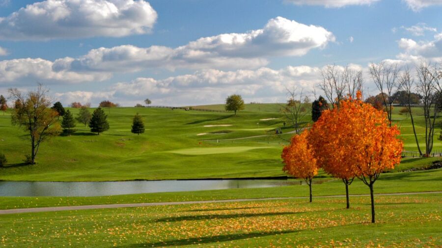 Gibson Bay GC