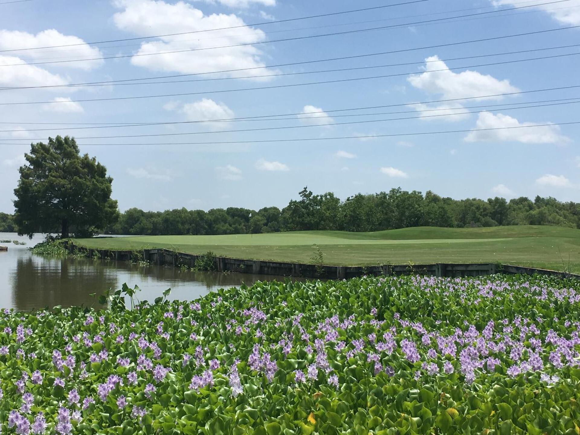 (Photo submitted by Favazza50 on 07/05/2016)