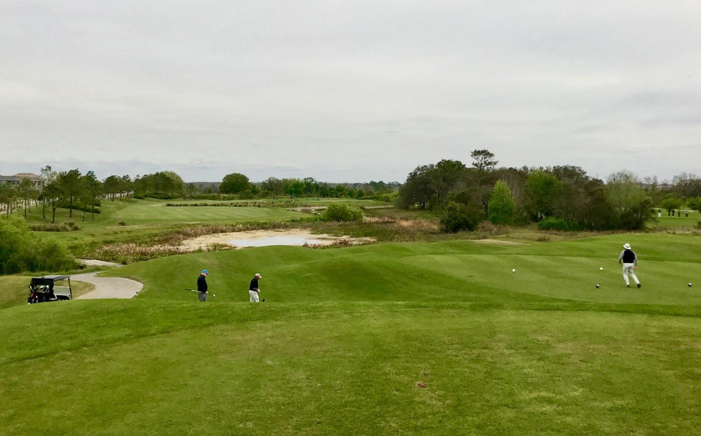 12 at Crooked Cat is a long par four with danger all along the right. (Photo submitted by TimGavrichGP on 04/09/2018)