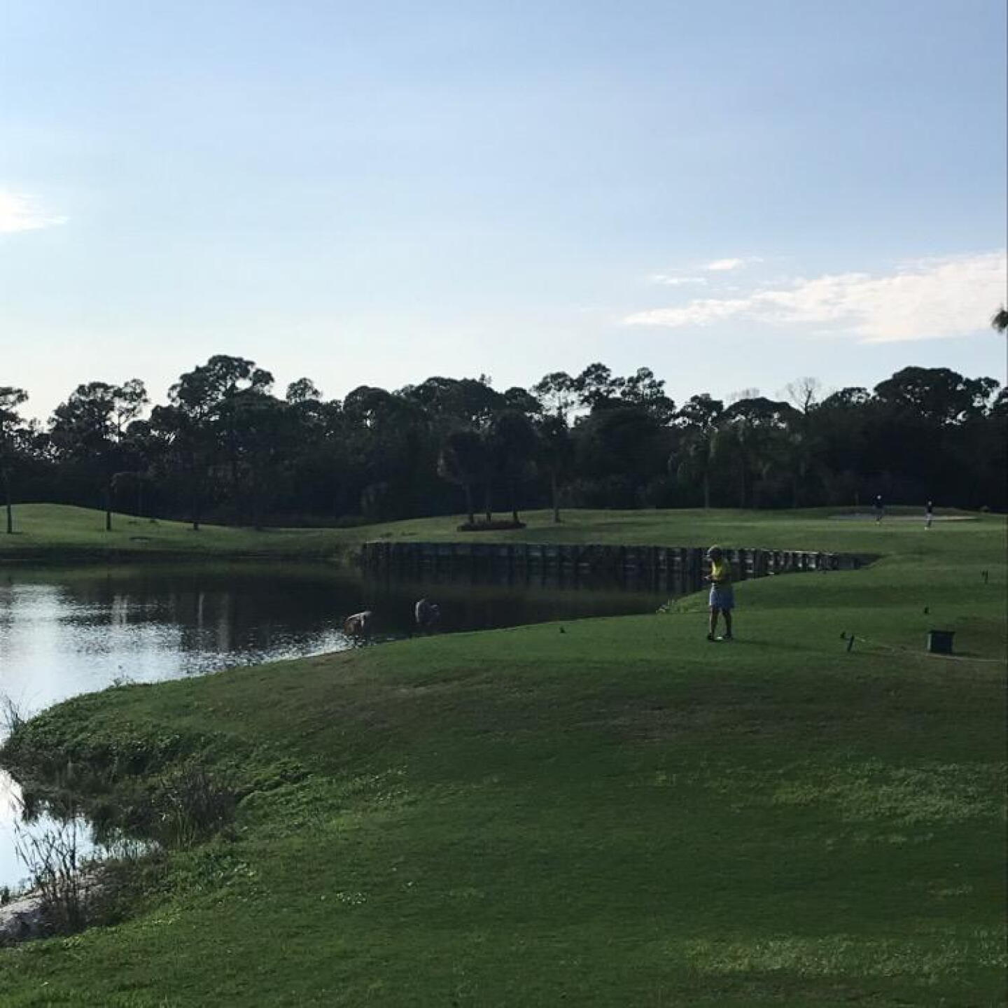 Nice par 3 (Photo submitted by uSDSG7131SD on 12/31/2019)