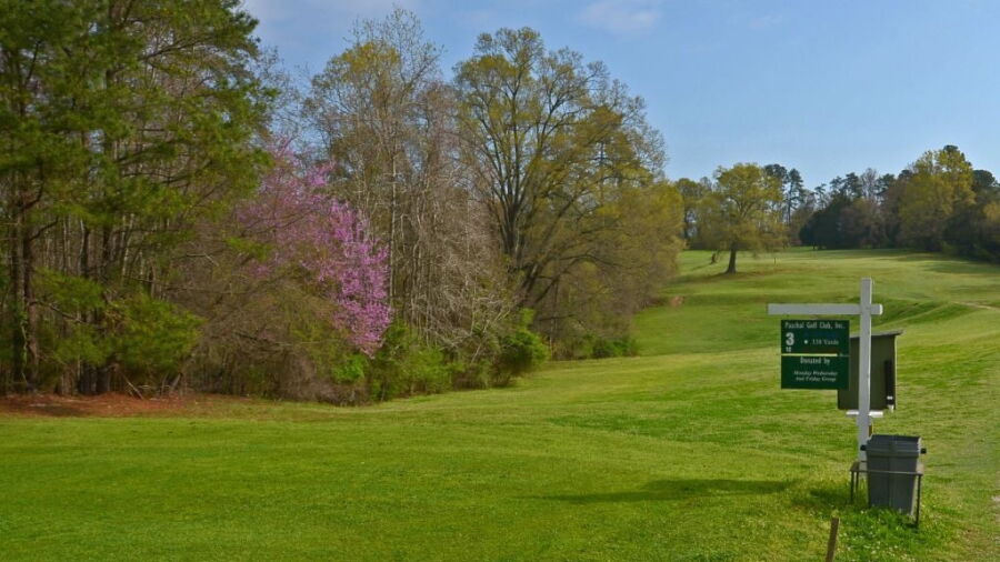 Paschal GC: #3