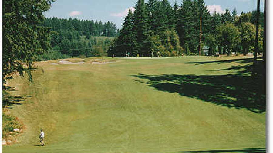 Stone Creek #15