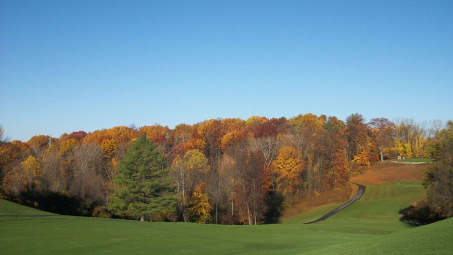 Capital Hills at Albany: #11