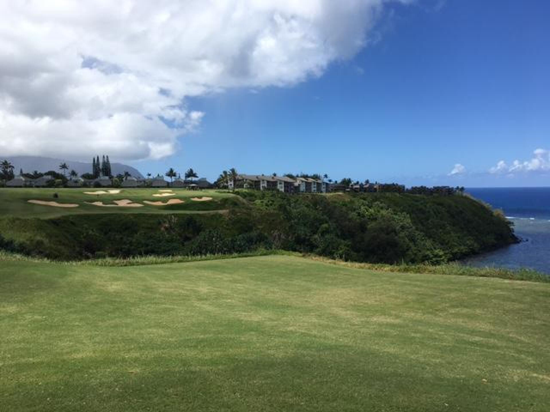 (Photo submitted by LICC on 09/08/2017)