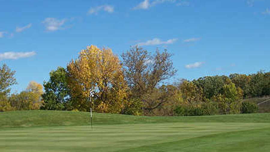 Bulrush GC: #1