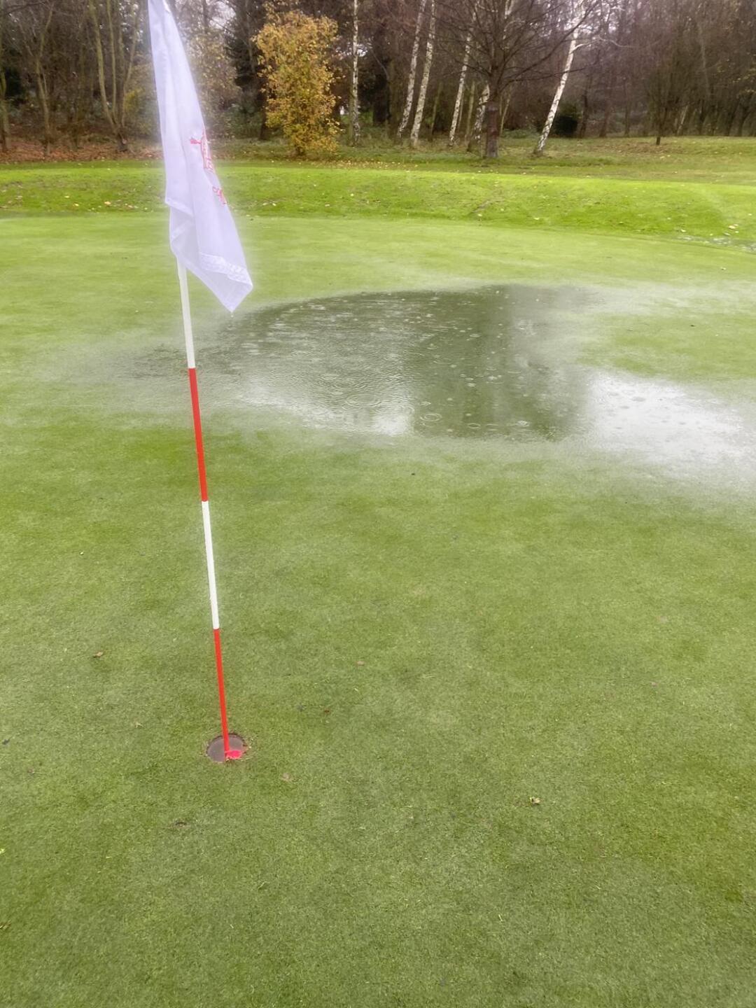 (Photo submitted by u3861278 on 12/11/2020)