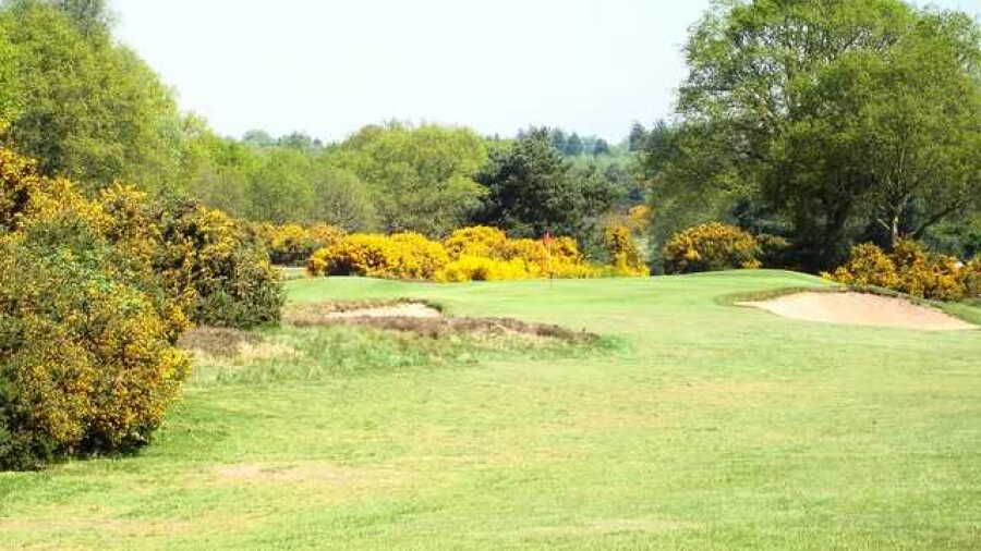 Woodbridge GC - Forest: #2