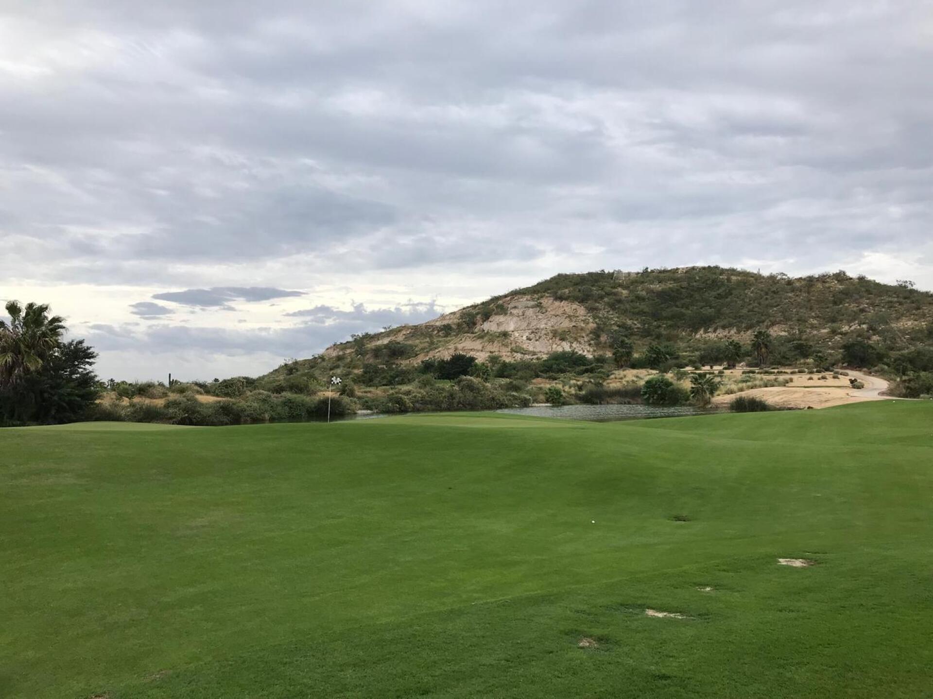 (Photo submitted by JasonDeeganGA on 12/16/2018)