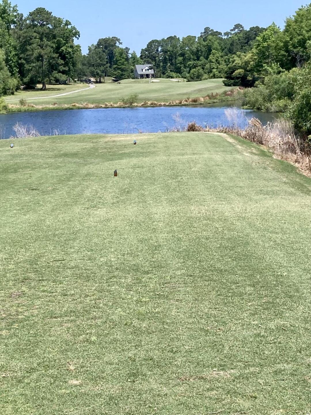 (Photo submitted by Phillyfrank on 06/13/2023)