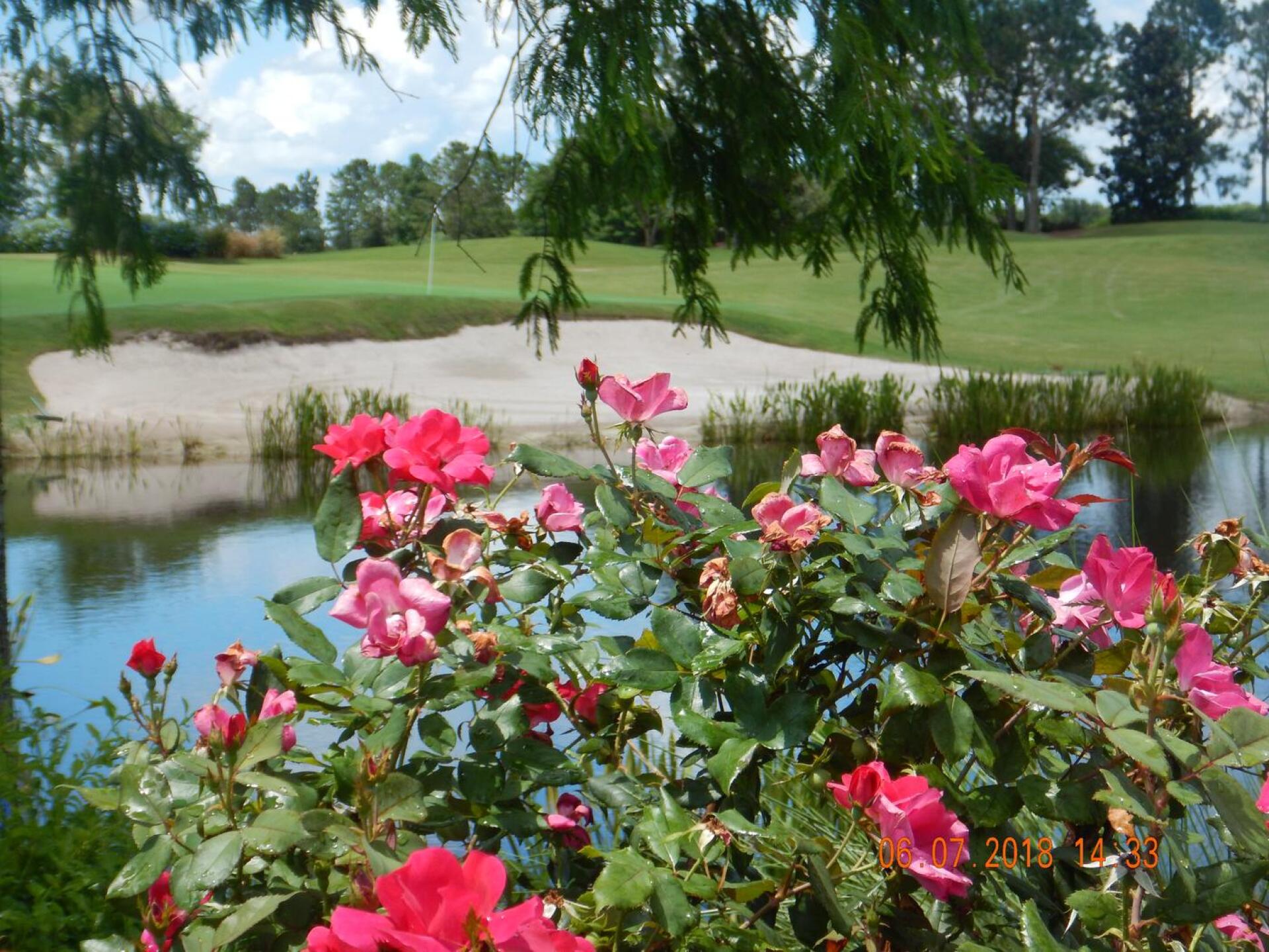 Shingle Creek 6/7/2018 (Photo submitted by allennoell on 06/09/2018)