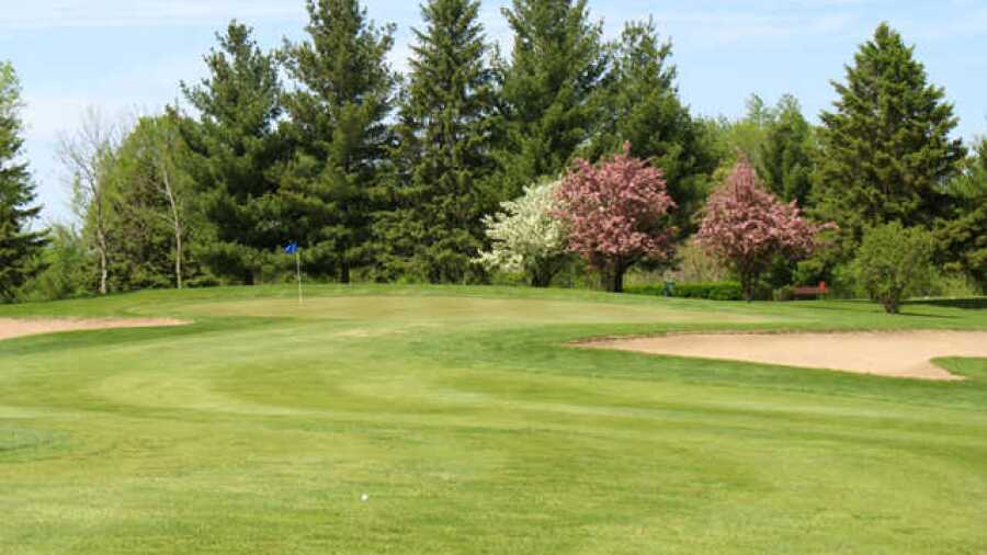 Purple Hawk CC