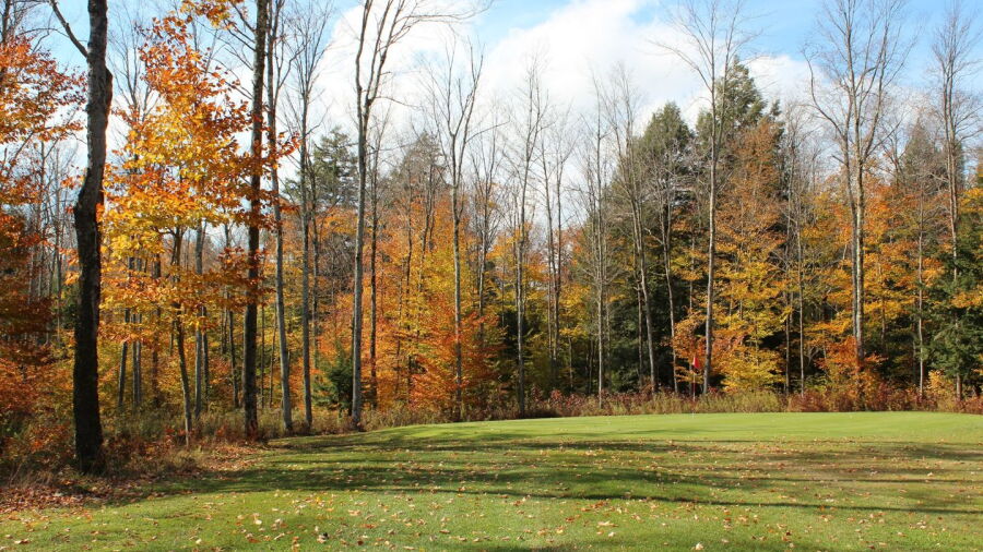 Butternut Valley Golf