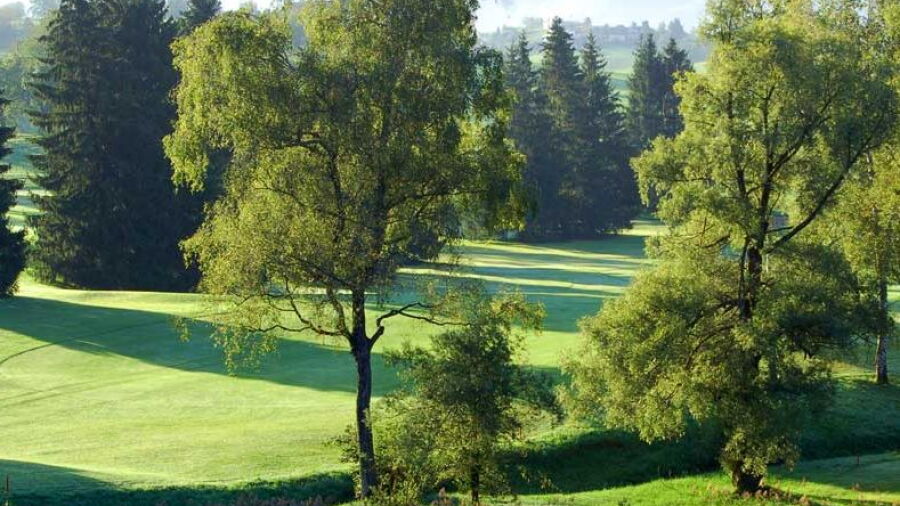 Schonenberg GCC