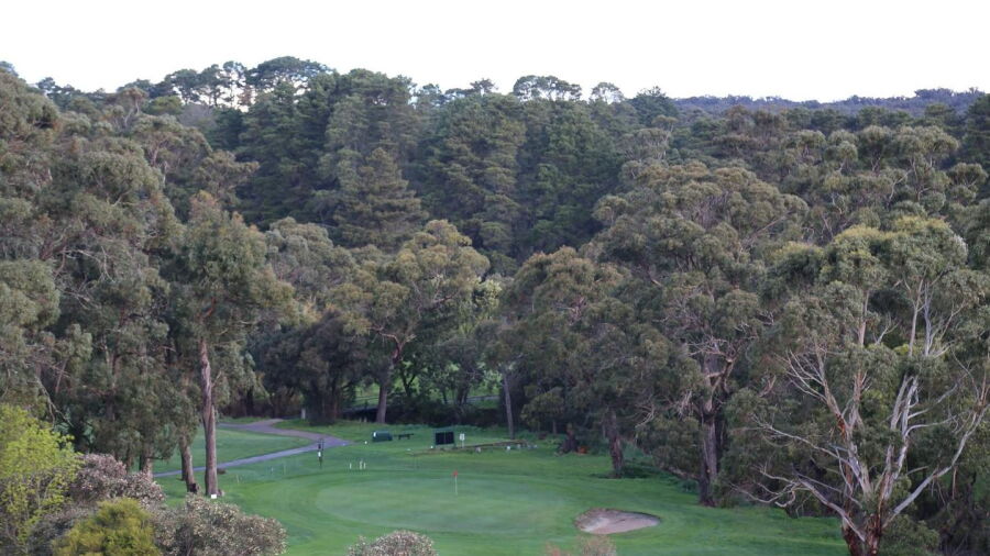  Mount Xavier GC