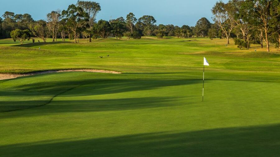 Nudgee GC