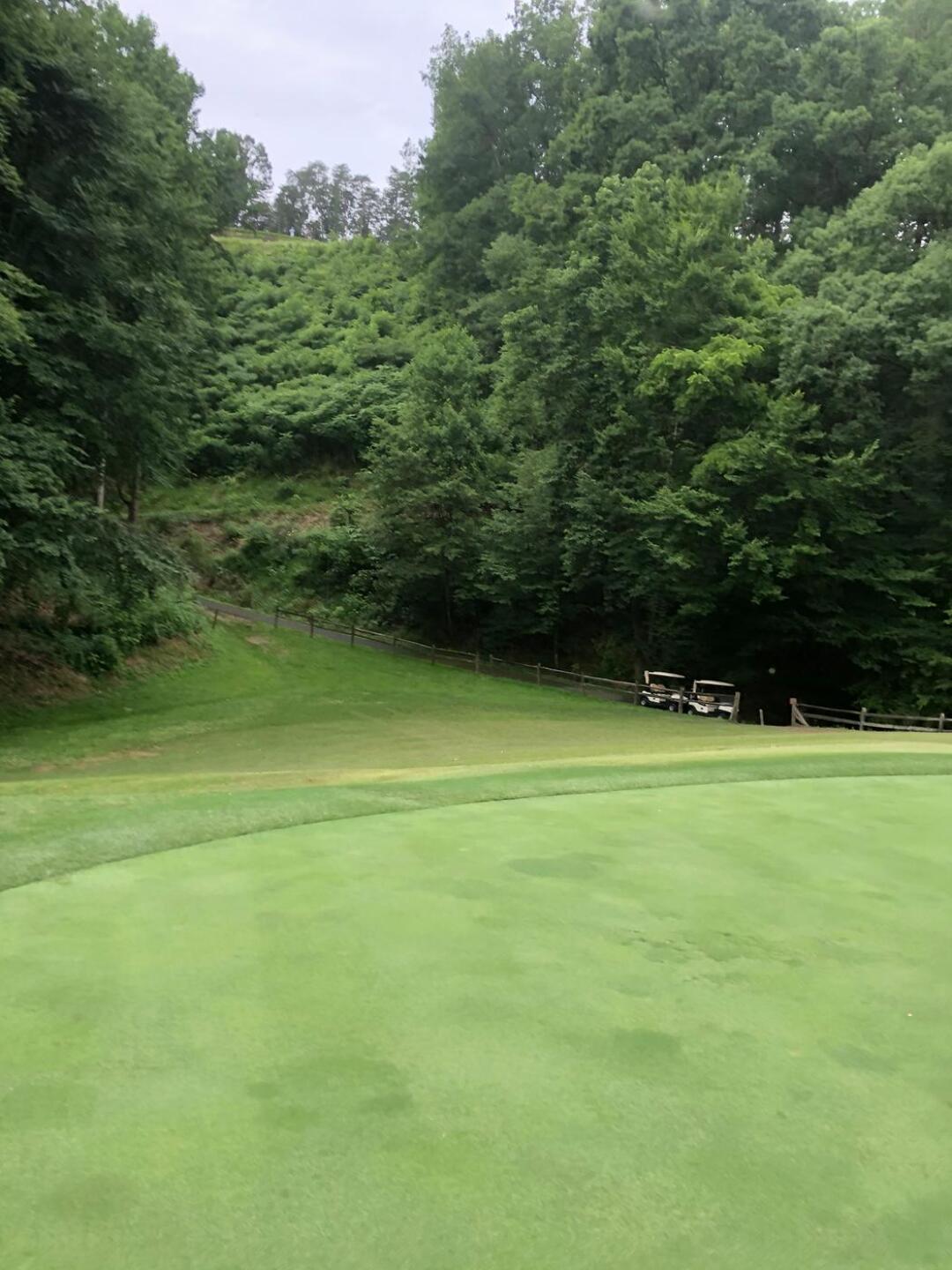 A look up to the tee from green on #12 (Photo submitted by u280719851 on 06/28/2020)