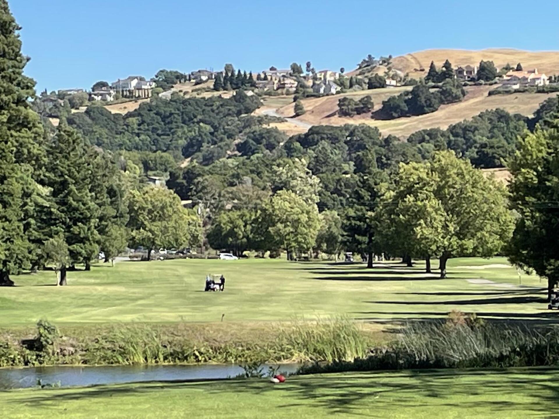 (Photo submitted by u314163490406 on 07/09/2023)