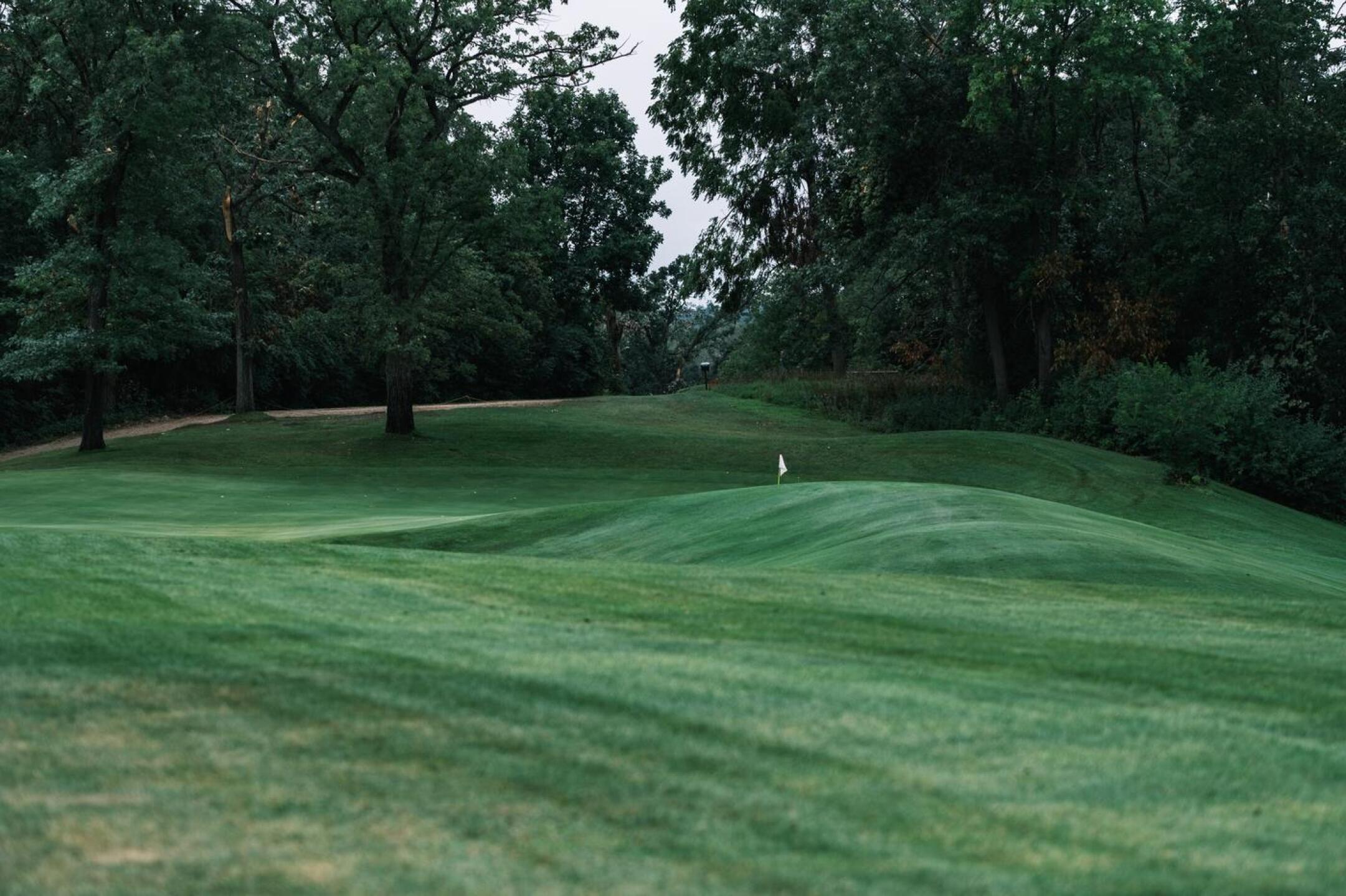 1 (Photo submitted by noahjurik on 08/31/2021)