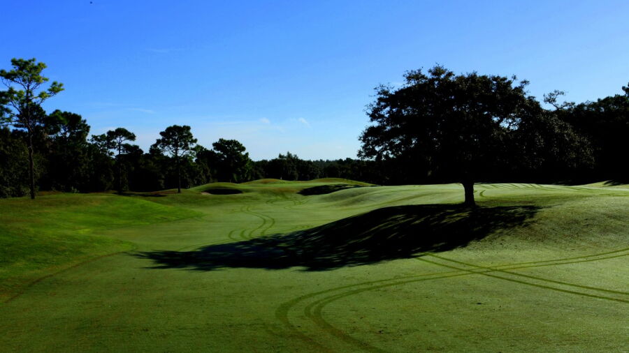 Twisted Oaks GC