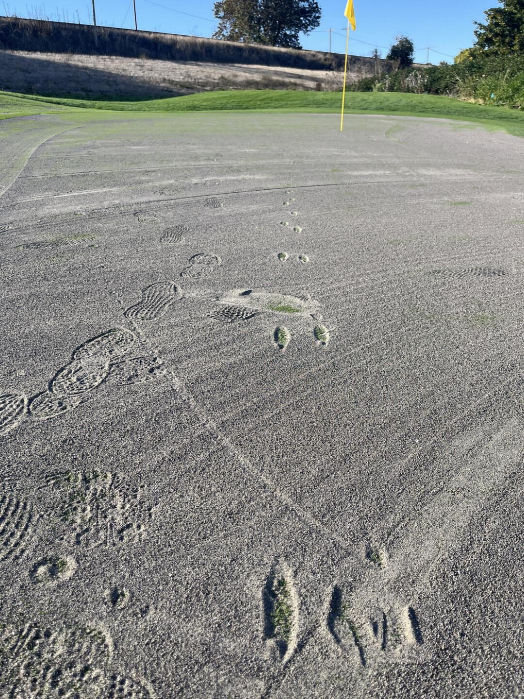 That’s a green.  Notice how my ball did not roll, but bounce every two feet. (Photo submitted by u790885909 on 10/09/2024)