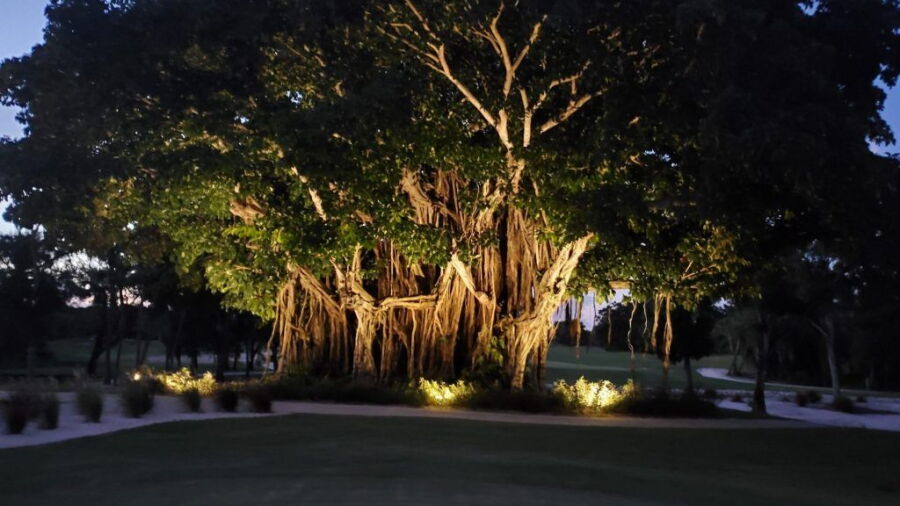 Banyan Creek GC