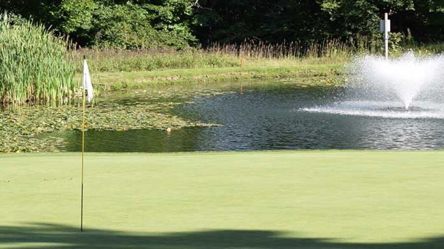 Beechmont CC